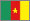 Cameroon Tenders