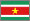 Suriname Tenders